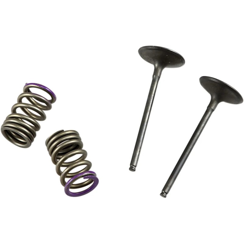 Valve and Spring Kit