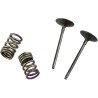 Valve and Spring Kit