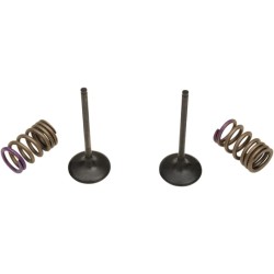 Valve and Spring Kit