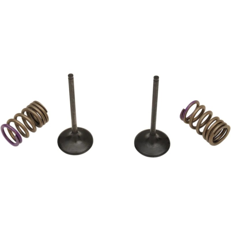 Valve and Spring Kit