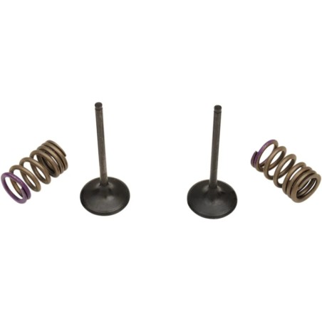 Valve and Spring Kit