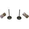 Valve and Spring Kit