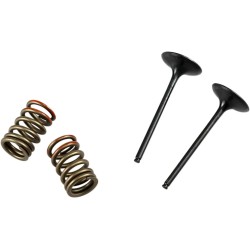 Valve and Spring Kit