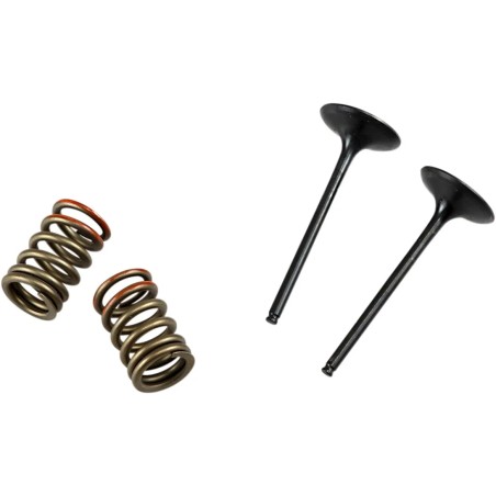 Valve and Spring Kit
