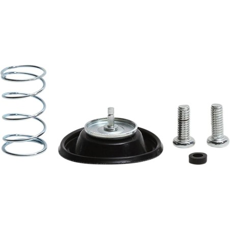 Air Cut-Off Valve Rebuild Kit