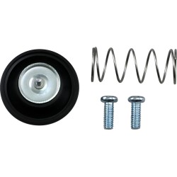 Air Cut-Off Valve Rebuild Kit