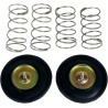 Carburetor Air Cut-Off Valve Set