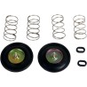 Carburetor Air Cut-Off Valve Set