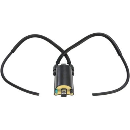 Bobine d'allumage de rechange type origine