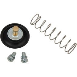 Air Cut-Off Valve Rebuild Kit