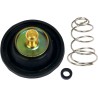 Carburetor Air Cut-Off Valve Set