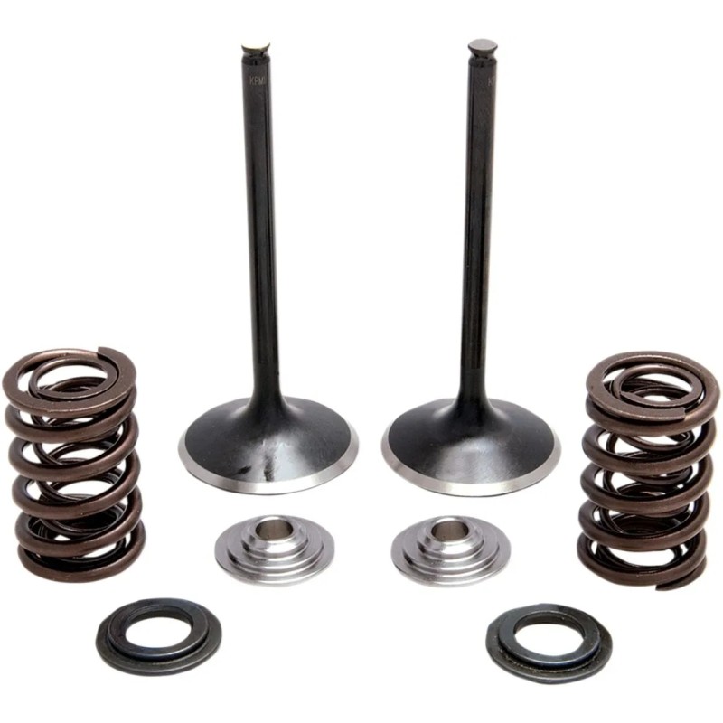 Intake Stainless Conversion Valve and Spring Kit