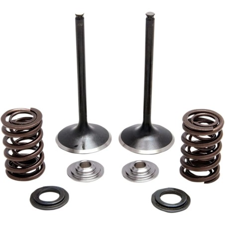 Intake Stainless Conversion Valve and Spring Kit