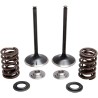 Intake Stainless Conversion Valve and Spring Kit