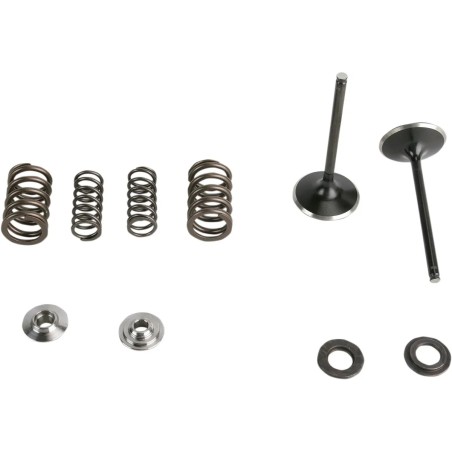 Intake Stainless Conversion Valve and Spring Kit