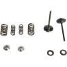 Kit de conversion soupape et ressort d'admission inox
