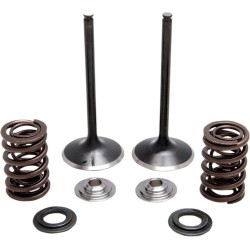 Intake Stainless Conversion Valve and Spring Kit