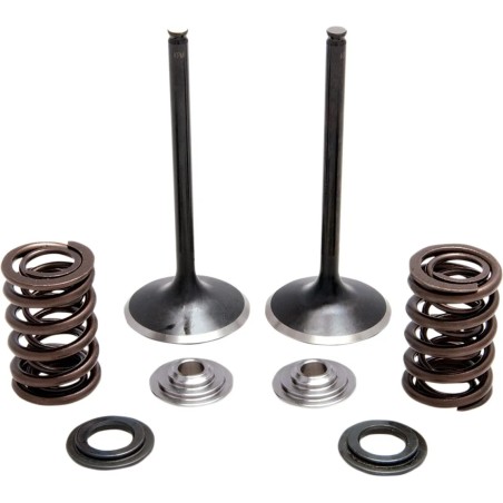 Intake Stainless Conversion Valve and Spring Kit