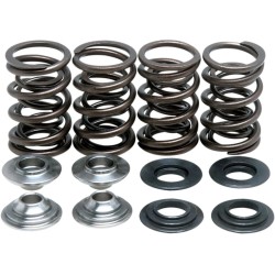Lightweight Racing Valve Spring Kit