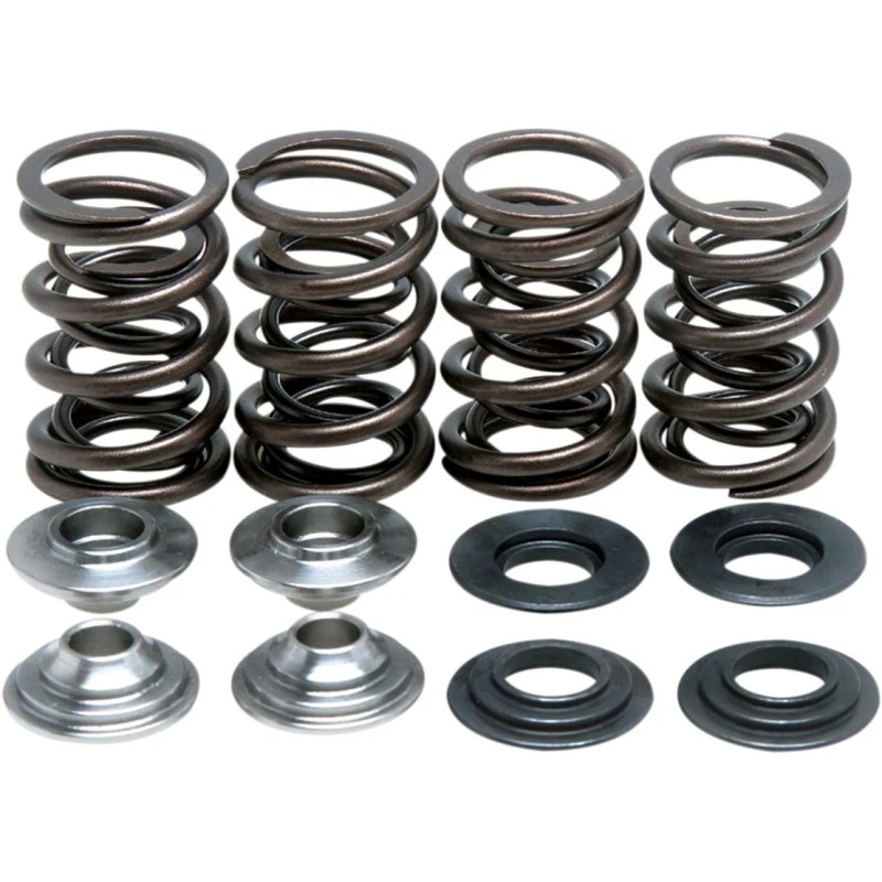 Lightweight Racing Valve Spring Kit