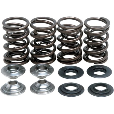 Lightweight Racing Valve Spring Kit