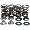 Lightweight Racing Valve Spring Kit