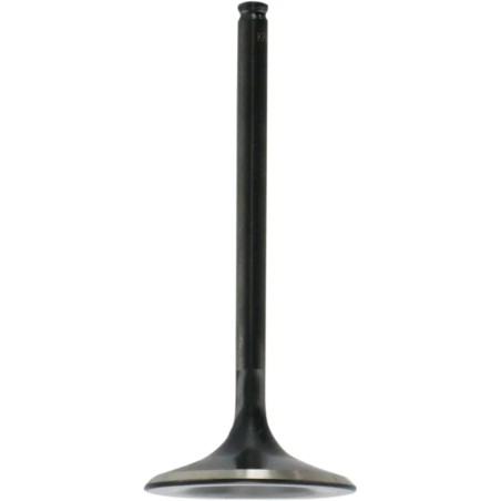 Black Diamond  Engine Valve