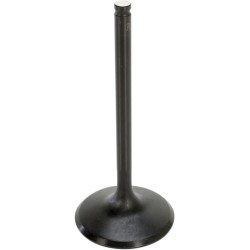 Black Diamond  Engine Valve