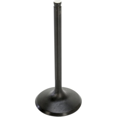 Black Diamond  Engine Valve