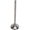Tensilite  Titanium Engine Valve