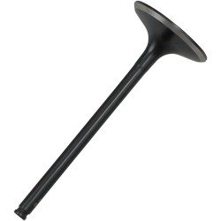 Black Diamond  Engine Valve
