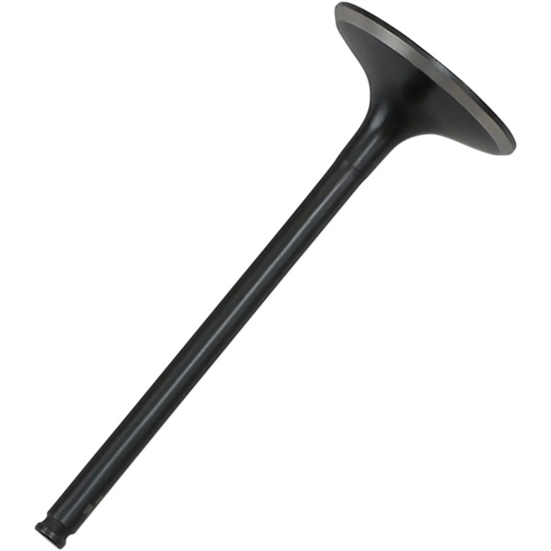 Black Diamond  Engine Valve