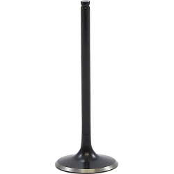 Soupape moteur Black Diamond™