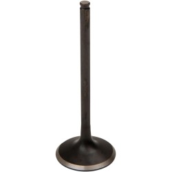 Soupape moteur Black Diamond™