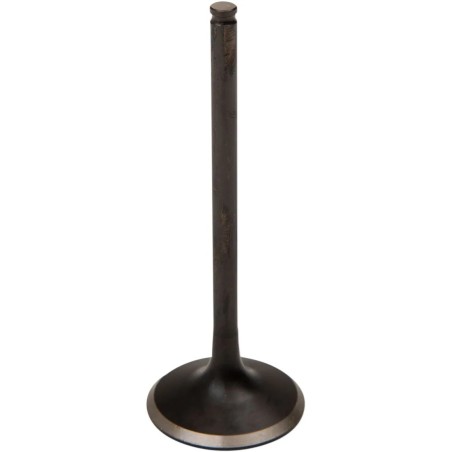 Black Diamond  Engine Valve