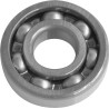 Replacement Bearing for 5-Speed Big Twin