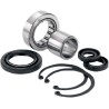 Inner Primary Mainshaft Bearing Seal Kit