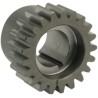 Pinion Gear
