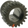 Pinion Gear