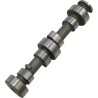 Camshaft Stage 1