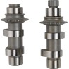 Cam Set for Chain Drive
