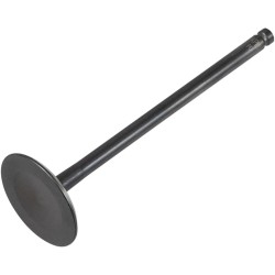 Black Diamond  Engine Valve
