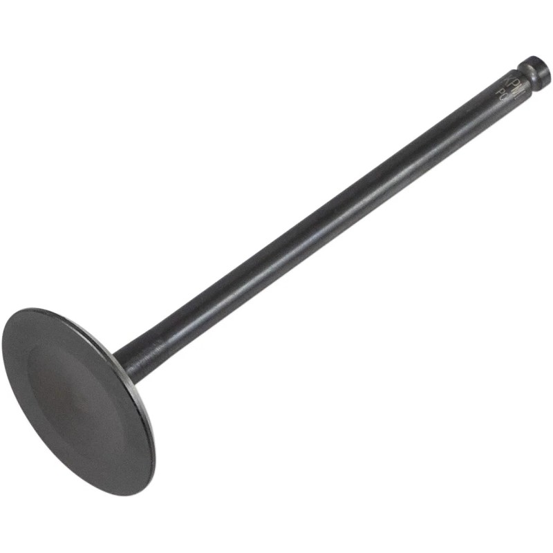 Black Diamond  Engine Valve
