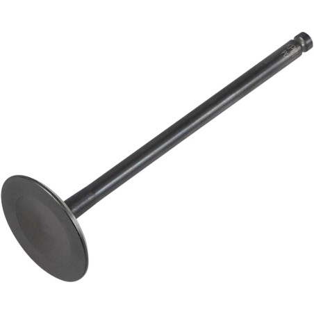 Black Diamond  Engine Valve