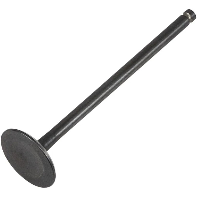 Black Diamond  Engine Valve