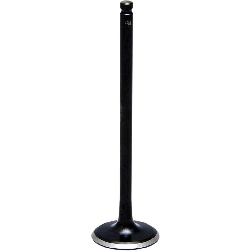 Black Diamond  Engine Valve