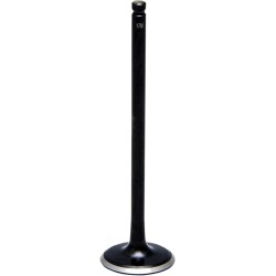 Black Diamond  Engine Valve