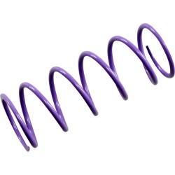 Primary Clutch Spring