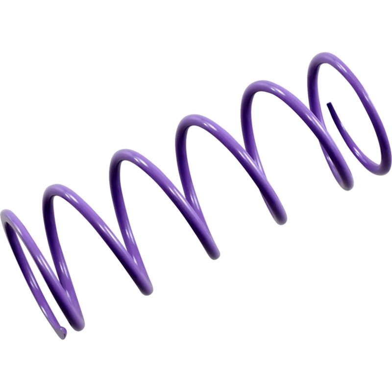 Primary Clutch Spring