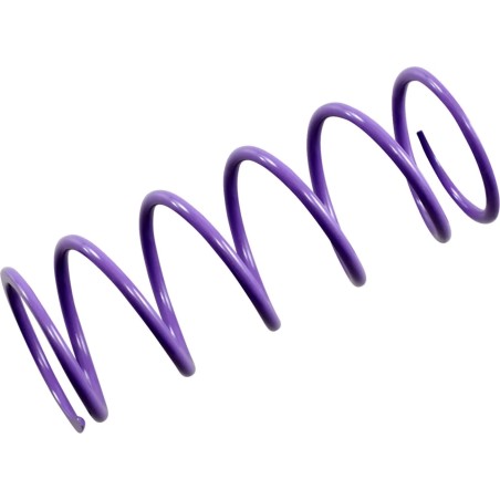 Primary Clutch Spring